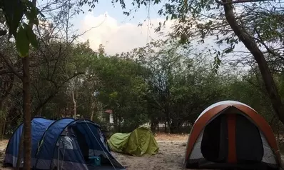 Shady camping bay